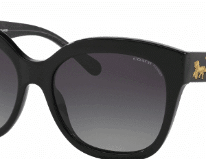 Coach-Sun 0HC8264