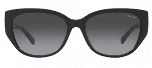 Coach-Sun 0HC8362U