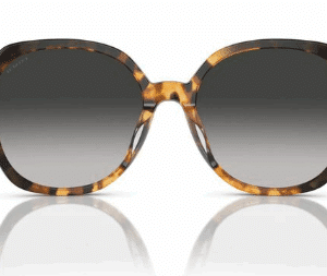 Coach-Sun 0HC8377U