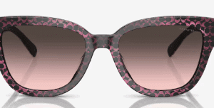 Coach-Sun 0HC8379U