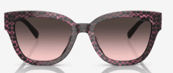 Coach-Sun 0HC8379U