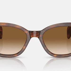 Ray-Ban 0RB0880S