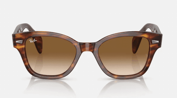 Ray-Ban 0RB0880S