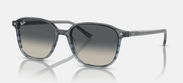 Ray-Ban 0RB2193 Leonard - Image 2