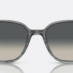 Ray-Ban 0RB2193 Leonard
