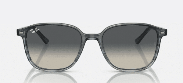 Ray-Ban 0RB2193 Leonard