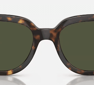 Ray-Ban 0RB4398 ERIK