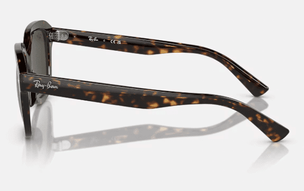 Ray-Ban 0RB4398 ERIK - Image 3