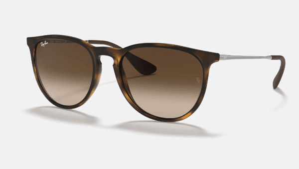Ray-Ban 0RB4171 ERIKA - Image 2