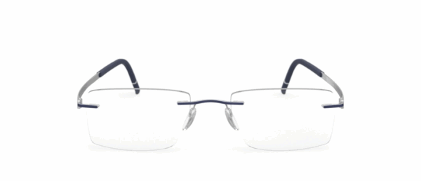 Silhouette 5529FG