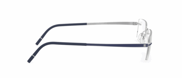 Silhouette 5529FG - Image 2