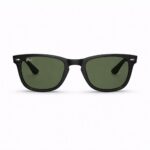 Ray-Ban RB4258