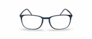Silhouette SPX 2943