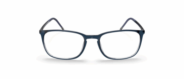 Silhouette SPX 2943
