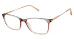 Ted Baker TFW009