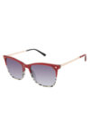 Lamb-Sun-LA578-2