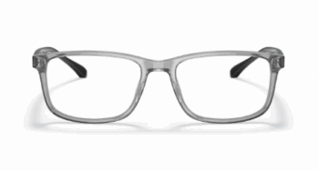 Emporio Armani EA3098