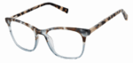 Ted Baker TFW016